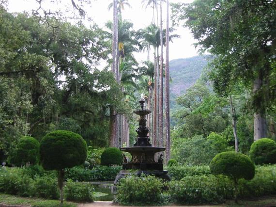 Botanischer Garten - Allee mit Königspalmen